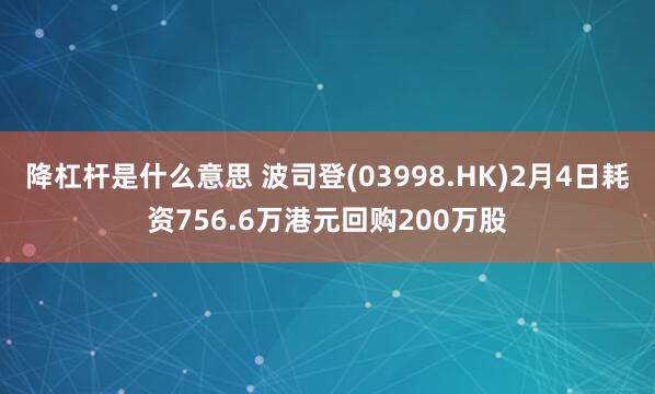 降杠杆是什么意思 波司登(03998.HK)2月4日耗资756.6万港元回购200万股