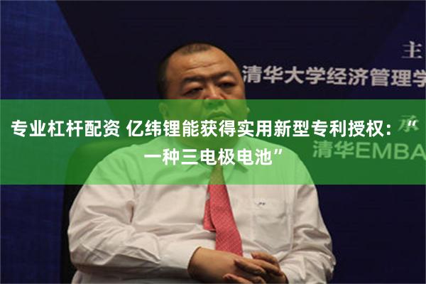 专业杠杆配资 亿纬锂能获得实用新型专利授权：“一种三电极电池”
