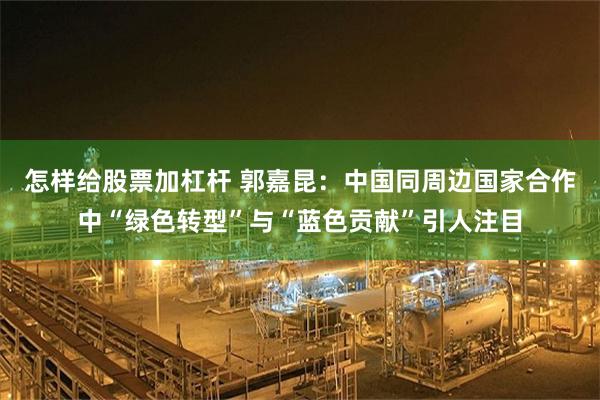 怎样给股票加杠杆 郭嘉昆：中国同周边国家合作中“绿色转型”与“蓝色贡献”引人注目