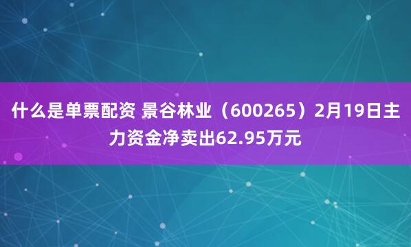 什么是单票配资 景谷林业（600265）2月19日主力资金净卖出62.95万元
