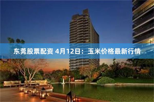 东莞股票配资 4月12日：玉米价格最新行情