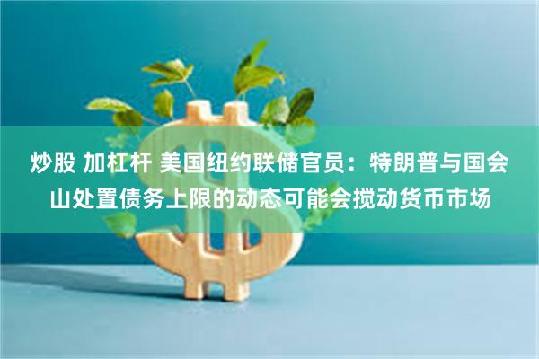 炒股 加杠杆 美国纽约联储官员：特朗普与国会山处置债务上限的动态可能会搅动货币市场