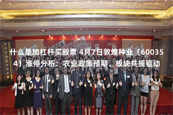 什么是加杠杆买股票 4月7日敦煌种业（600354）涨停分析：农业政策预期、板块共振驱动