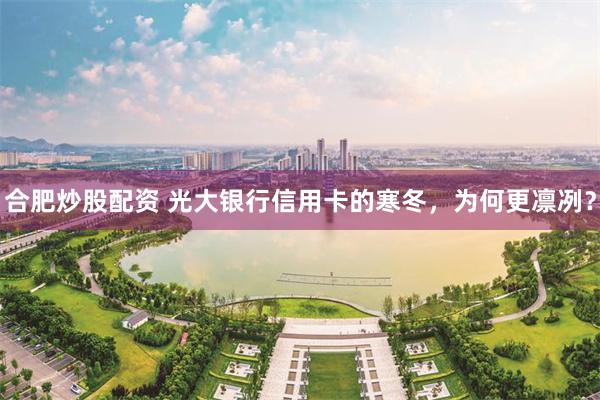 合肥炒股配资 光大银行信用卡的寒冬，为何更凛冽？