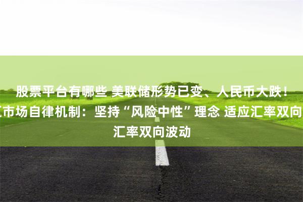 股票平台有哪些 美联储形势已变、人民币大跌！外汇市场自律机制：坚持“风险中性”理念 适应汇率双向波动