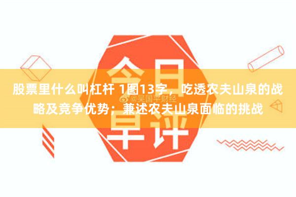 股票里什么叫杠杆 1图13字，吃透农夫山泉的战略及竞争优势；兼述农夫山泉面临的挑战