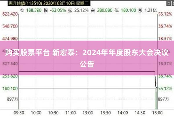 购买股票平台 新宏泰：2024年年度股东大会决议公告