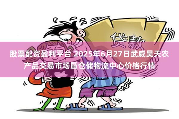 股票配资盈利平台 2025年6月27日武威昊天农产品交易市场暨仓储物流中心价格行情