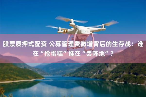 股票质押式配资 公募管理费微增背后的生存战：谁在“抢蛋糕”谁在“丢阵地”？