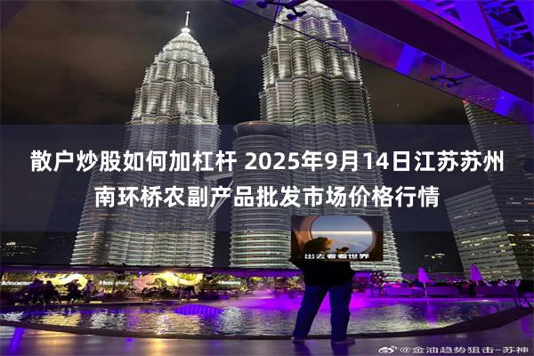 散户炒股如何加杠杆 2025年9月14日江苏苏州南环桥农副产品批发市场价格行情